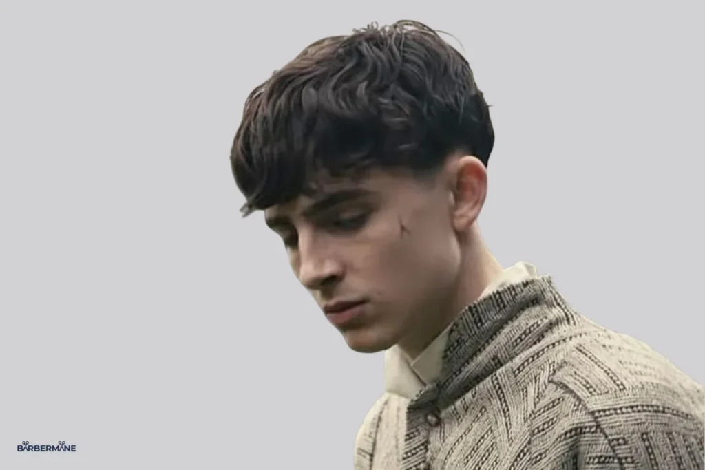 Timothee-Chalamet-undercut-fade